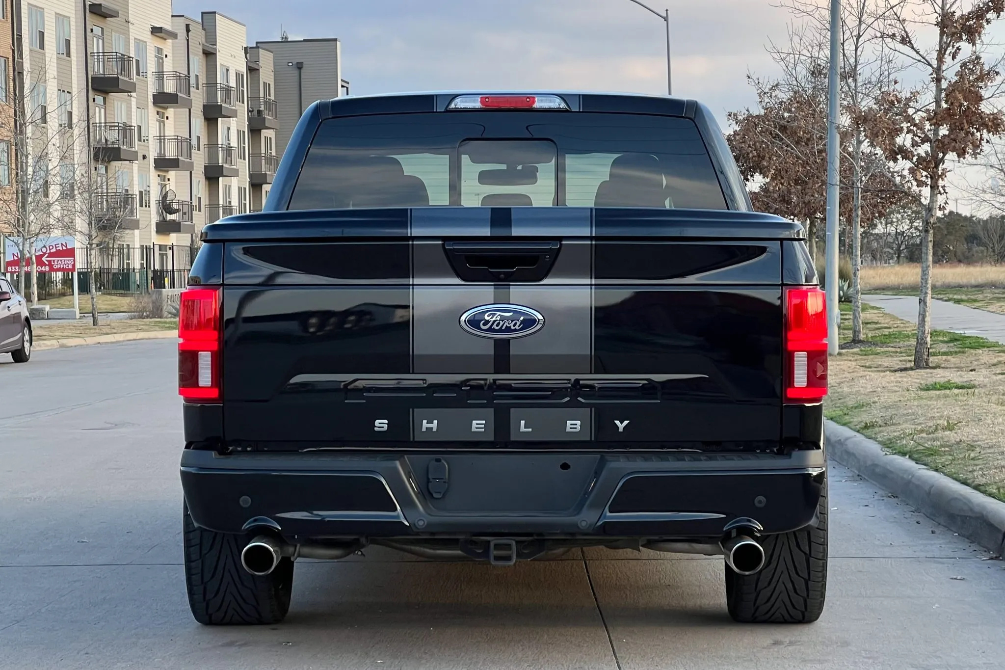 2020 Ford F-150 Shelby Super Snake - photo 3
