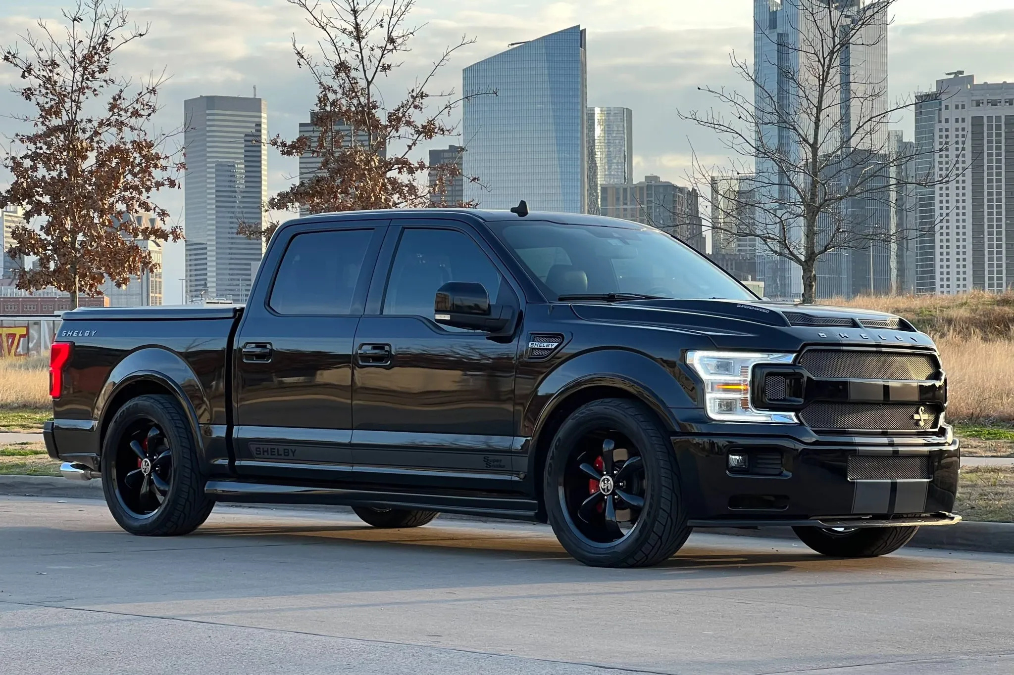 2020 Ford F-150 Shelby Super Snake - photo 5