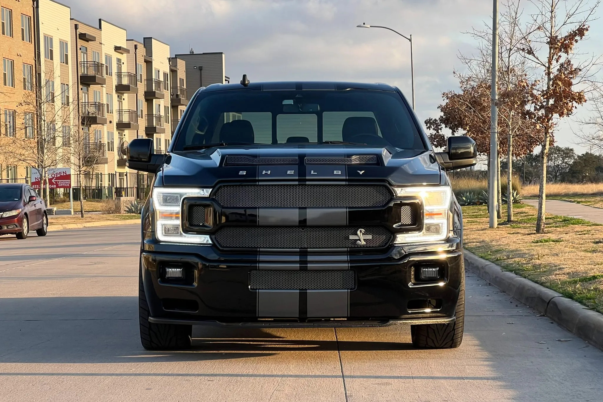 2020 Ford F-150 Shelby Super Snake - photo 6
