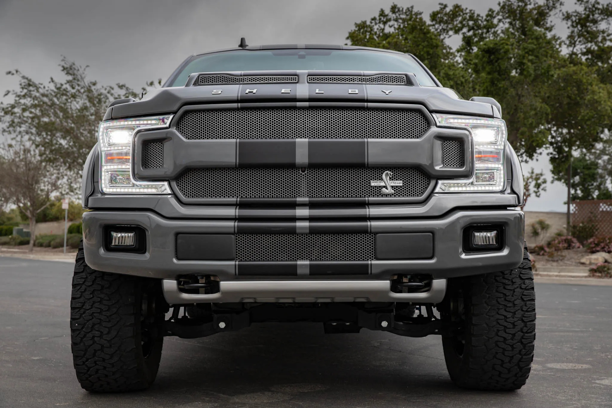 2019 Ford F-150 Shelby Super Snake - photo 2