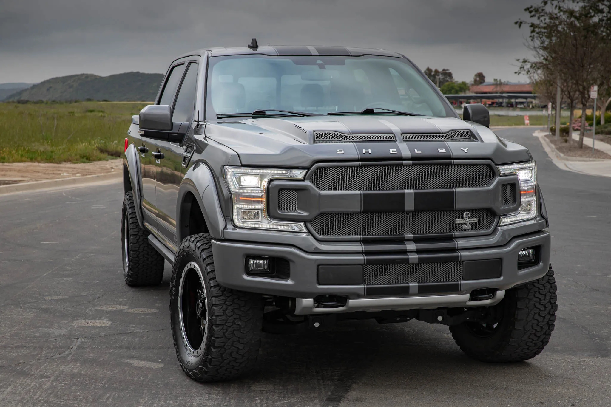 2019 Ford F-150 Shelby Super Snake - photo 3