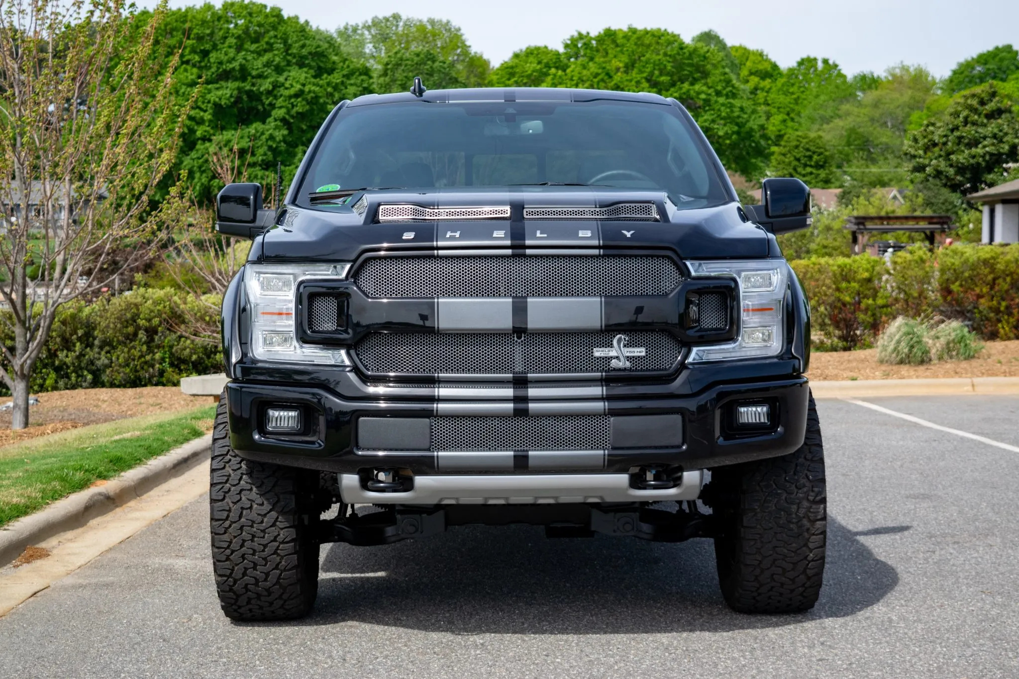 2018 Ford F-150 Shelby Super Snake - photo 2