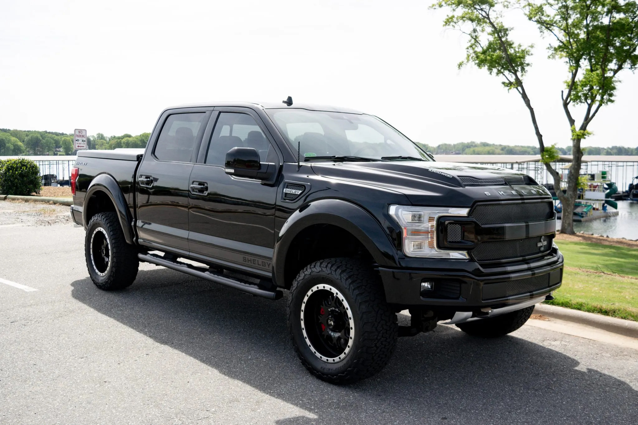 2018 Ford F-150 Shelby Super Snake - photo 3
