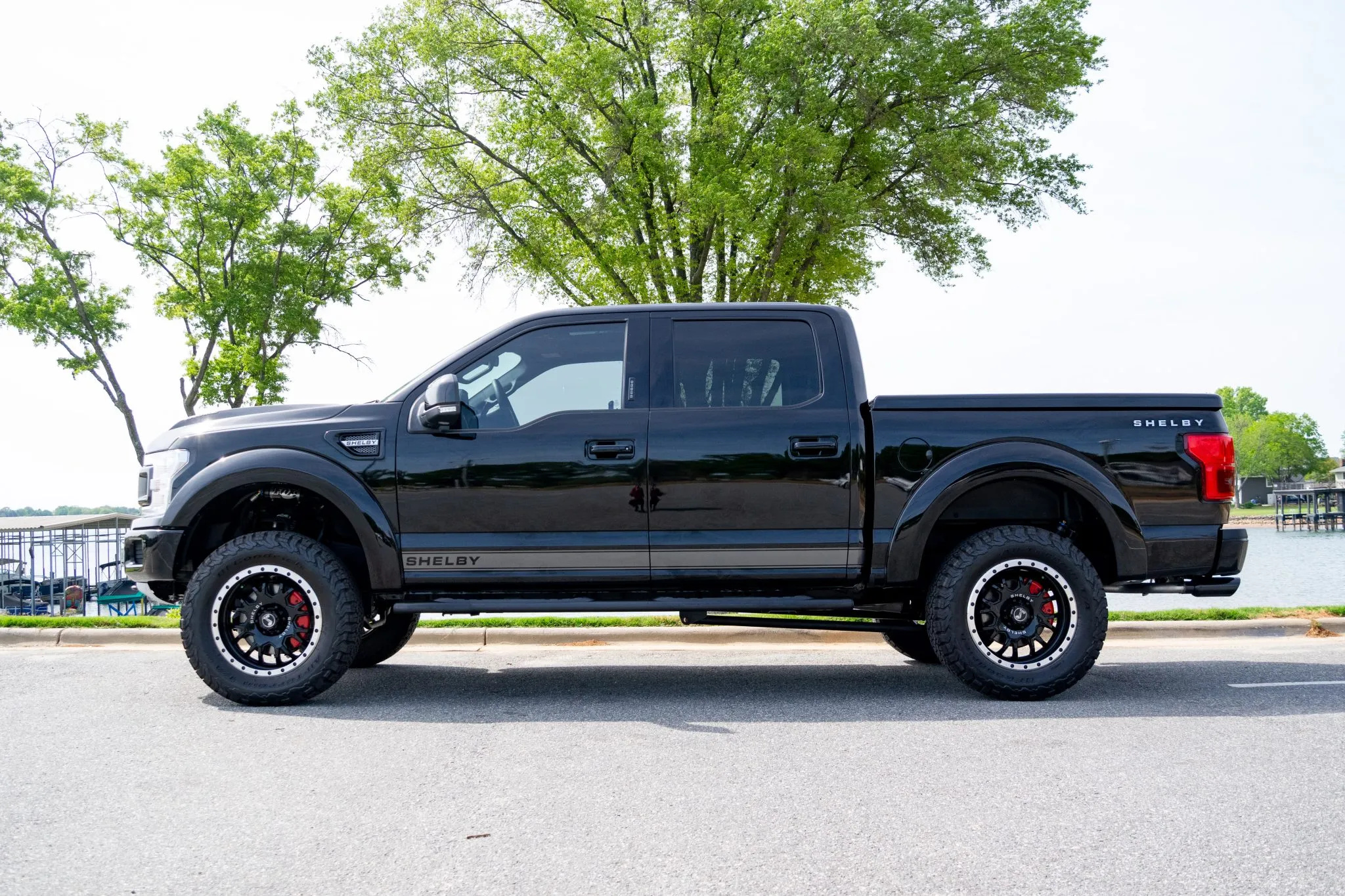 2018 Ford F-150 Shelby Super Snake - photo 8